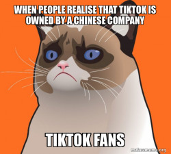 Cartoon Grumpy Cat