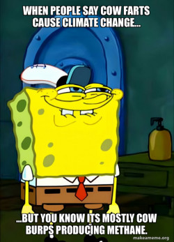 SpongeBob Grin