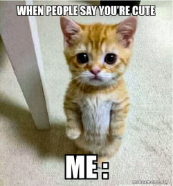 When some one says cute to you 