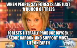 False Fact Nancy Grace