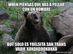 Sarcastic Bear
