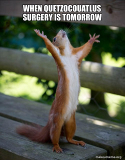 Happy Squirrel