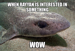Dirty Joke Dogfish