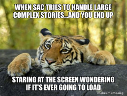 Confession Tiger