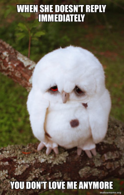 Sad Owl