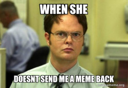 Schrute Facts (Dwight Schrute from The Office)