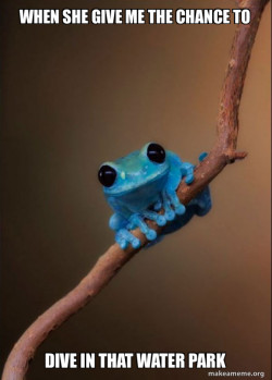 Small Fact Frog