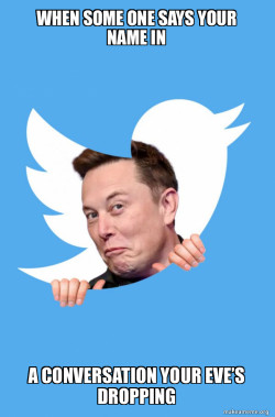 Elon Musk Twitter