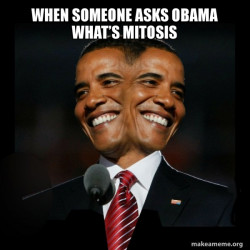 Two Faced Obama