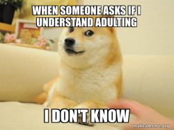 WHAT THE DOG DOING?