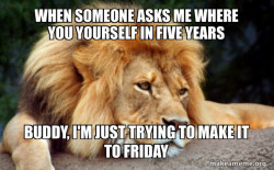 Confession Lion