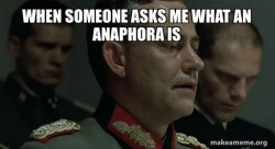 Mein Fuhrer