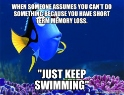 Dory from Nemo  (5 second memory)