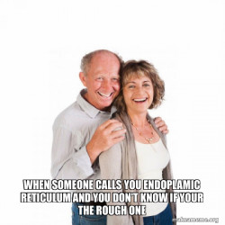 Baby Boomers