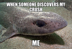 Dirty Joke Dogfish