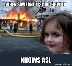 Disaster Girl