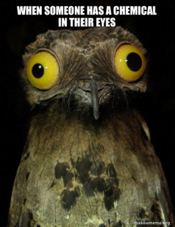 Weird Stuff I do Potoo