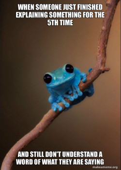Small Fact Frog