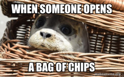 Impending Doom Seal