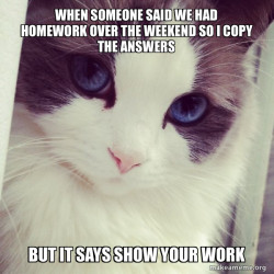 Ridiculously Photogenic Cat