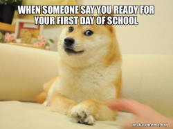 Doge