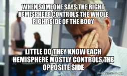 Male First World Problems