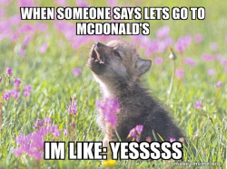Baby Insanity Wolf