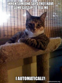The Most Interesting Cat in the World