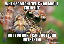 Hipster Spider