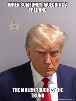 Donald Trump Mugshot