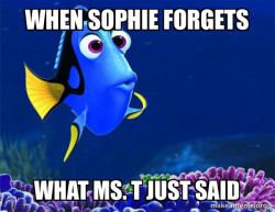 Dory from Nemo  (5 second memory)
