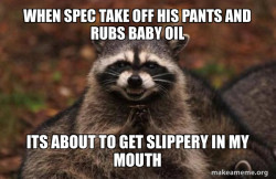Evil Plotting Raccoon