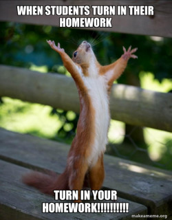Happy Squirrel