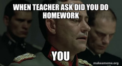 Mein Fuhrer
