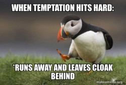 Unpopular Opinion Puffin