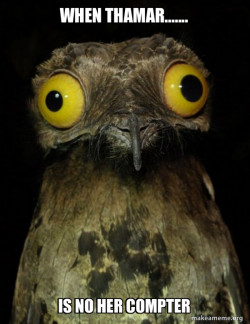 Weird Stuff I do Potoo