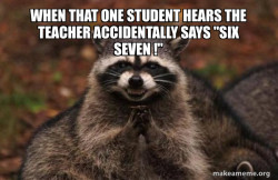 Evil Plotting Raccoon