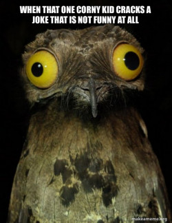 Weird Stuff I do Potoo