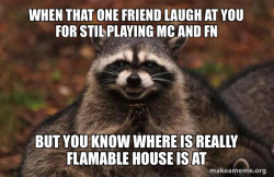 Evil Plotting Raccoon
