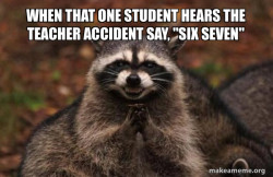 Evil Plotting Raccoon