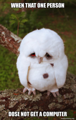 Sad Owl