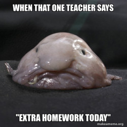 Blobfish