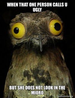 Weird Stuff I do Potoo