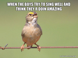 Common Opinion Sparrow