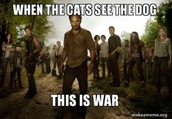 Walking Dead