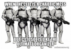 Cytosol how good is it 