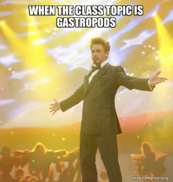 Tony Stark Success
