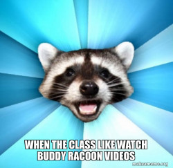 Lame Pun Coon