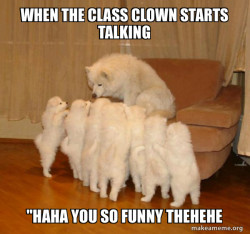 Storytelling Dog