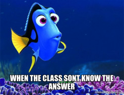 Dory from Nemo  (5 second memory)